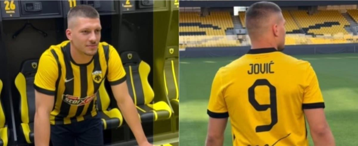 5236319821237922 cats