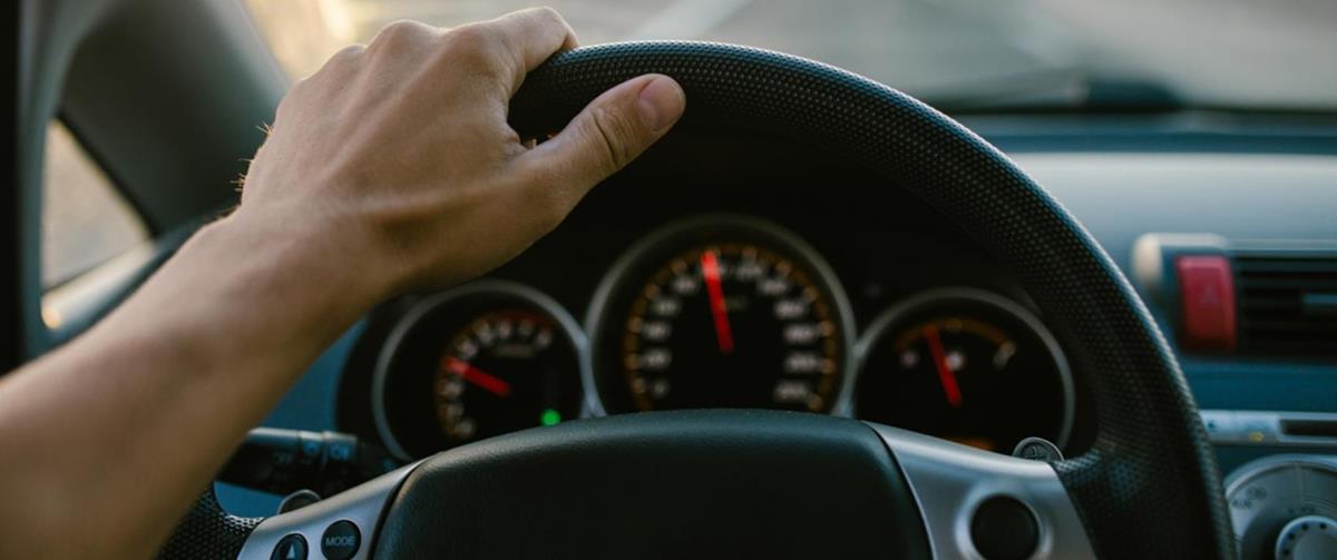 5236342534975831 cats