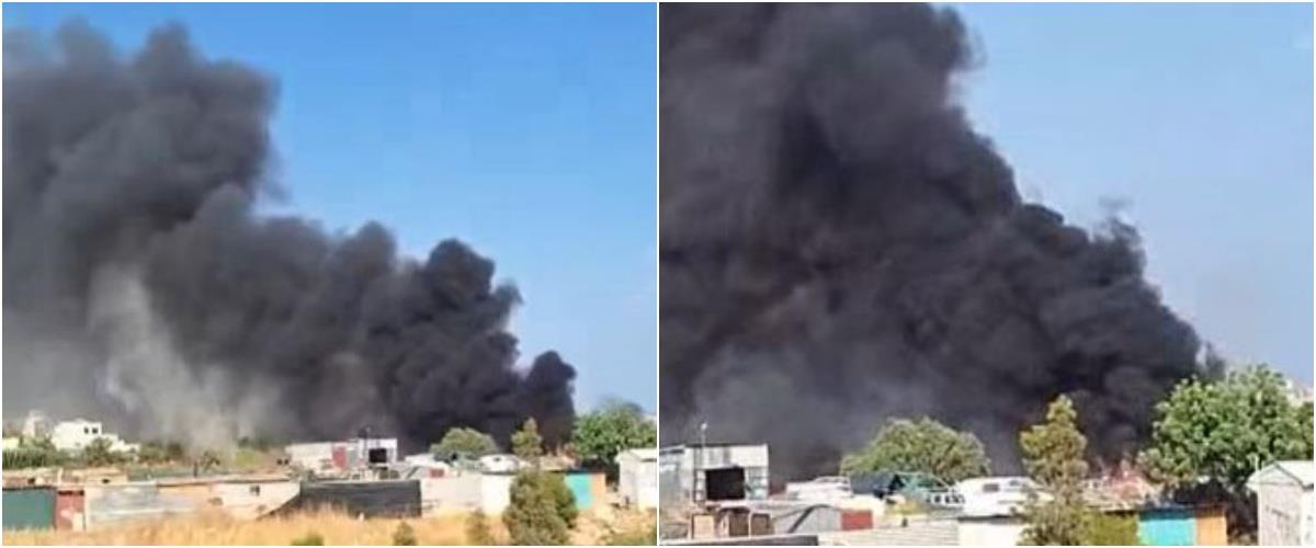 5236469749656344 polemidia