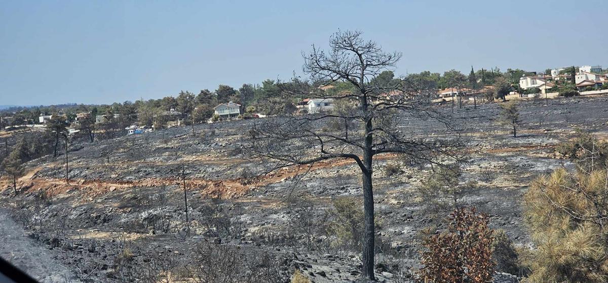 5237163737190956 523044470 717907307675769 5135319191942237904 n