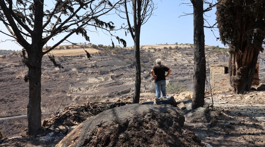 5237210166150089 DOC.20250725.8805389.01OMODOS17