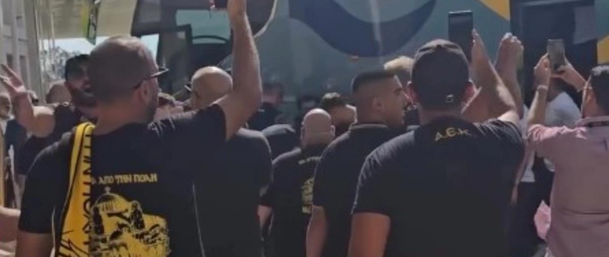 5237358160018955 cats