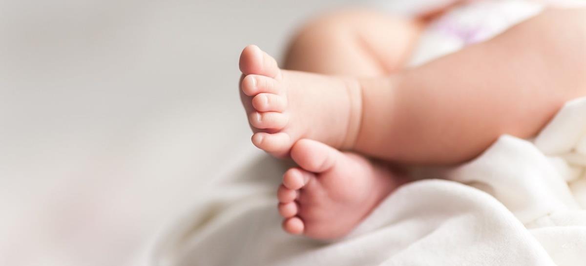 5237365453247922 cats