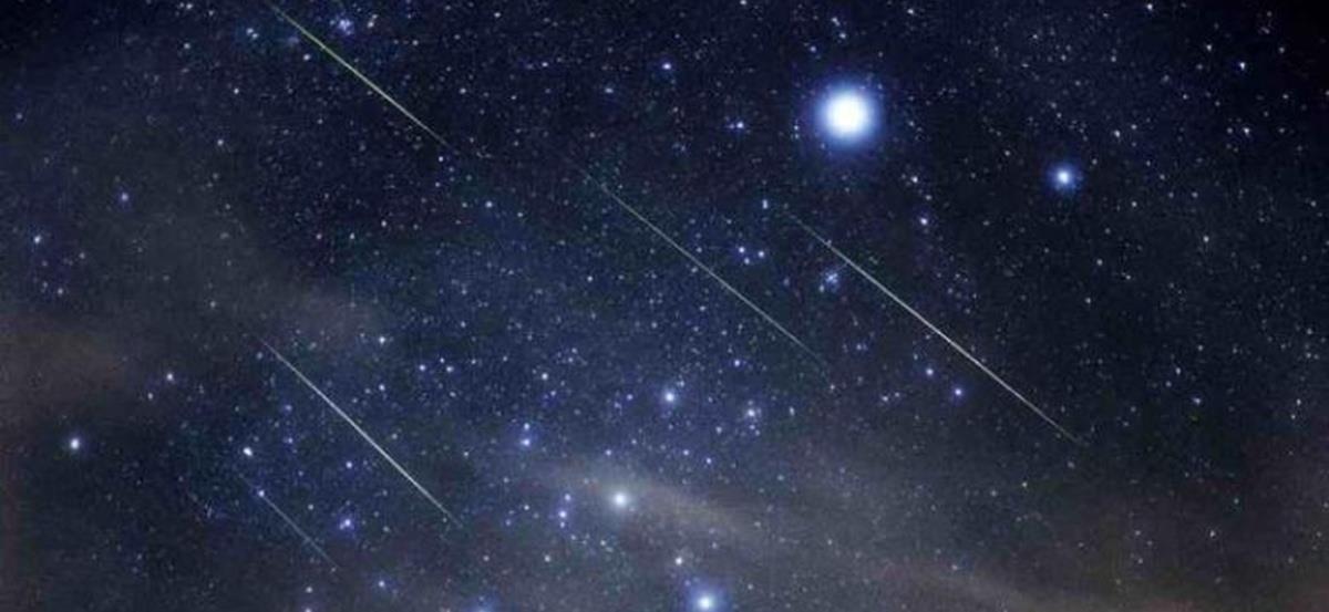 5237440353368804 cats