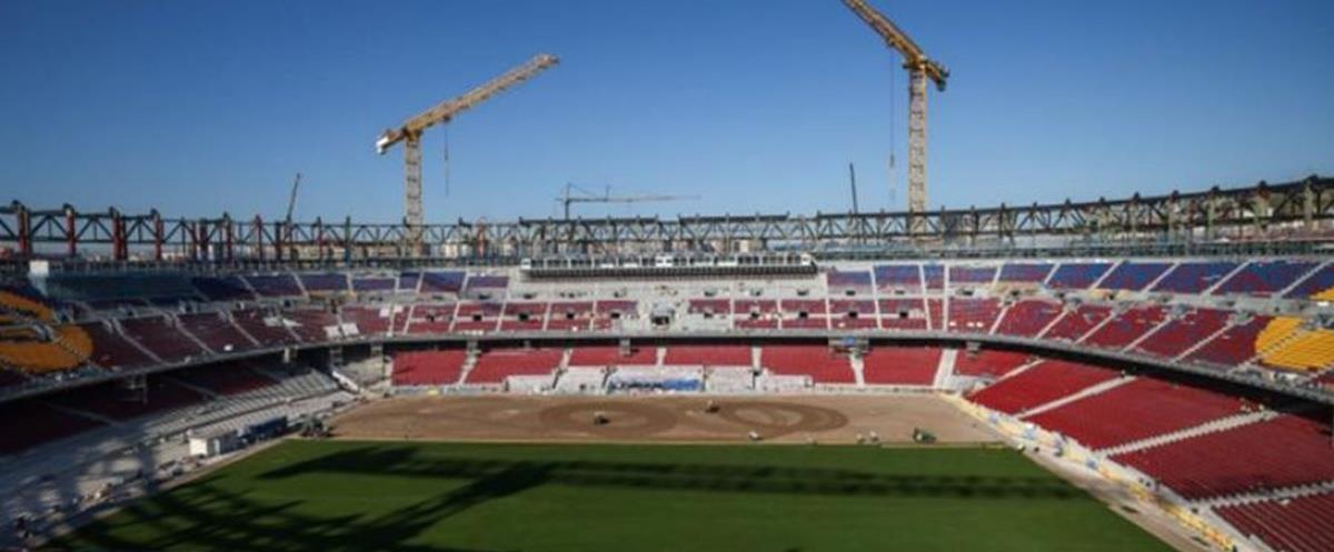 5237486900615016 cats