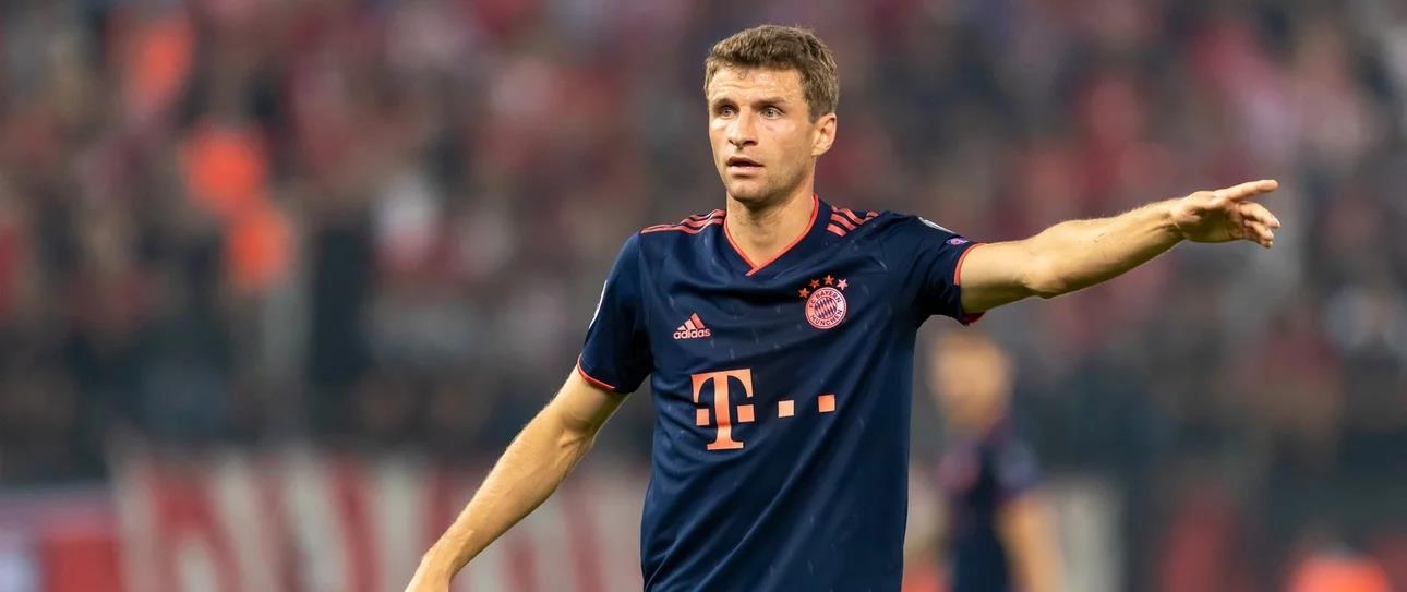 5237847716360674 cats