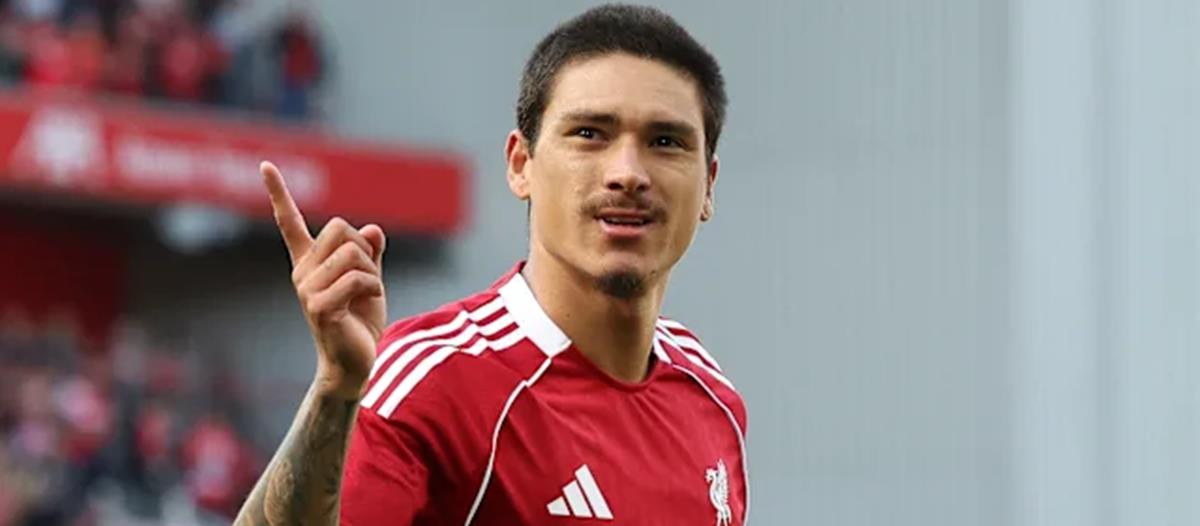 5237881153735518 cats