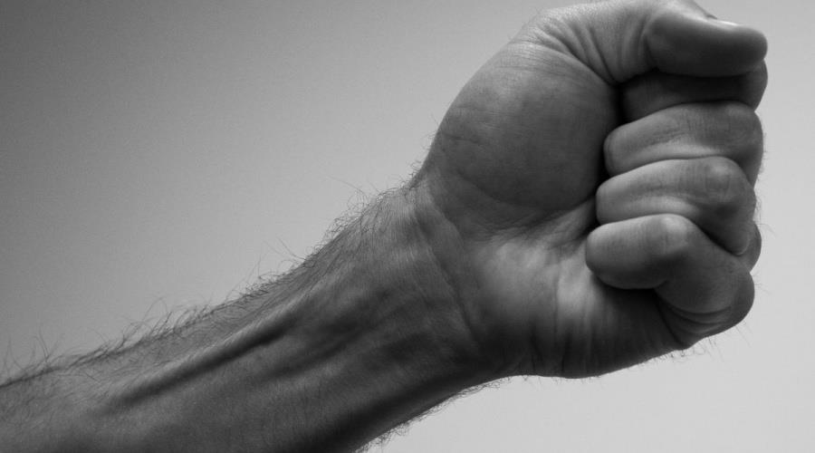 fist