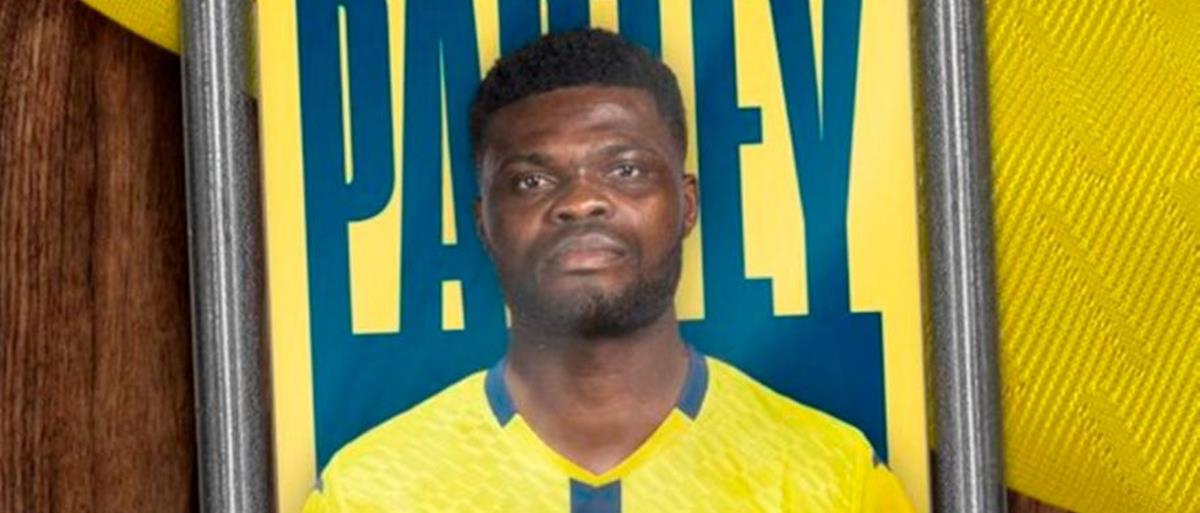 5238768787403840 cats