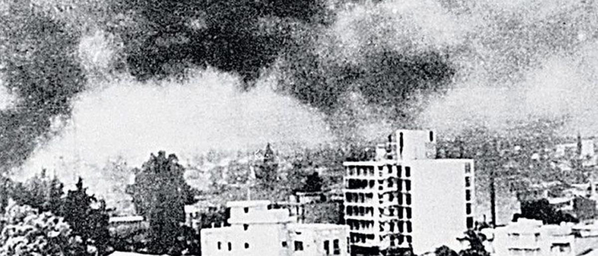 5238780390070666 cats