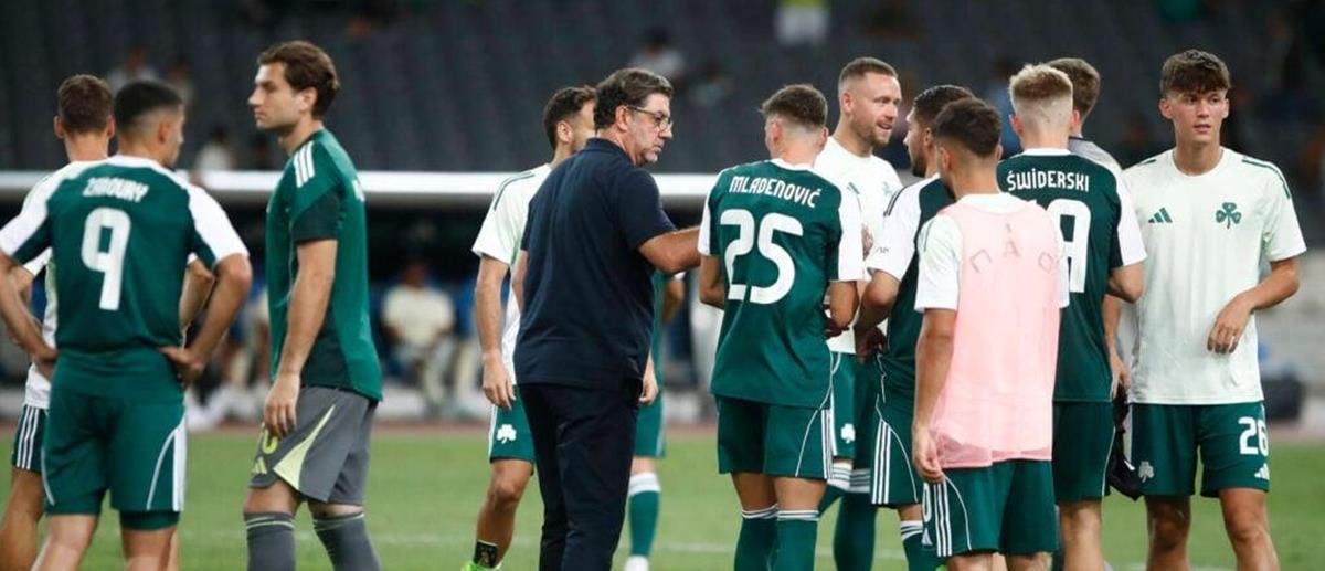 5238866955640686 cats