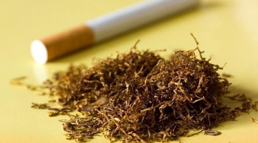 5239074952538985 b b kapnos tsigara