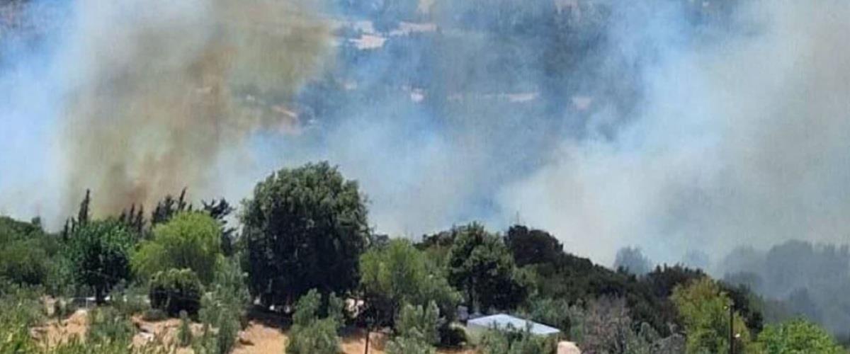 5239911406875400 fotia98-xrm