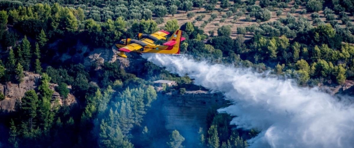 5240010160208554 canadair ilia