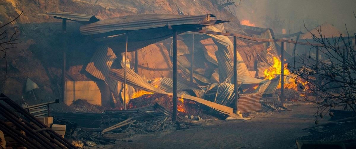 5240012950510971 6629386-full