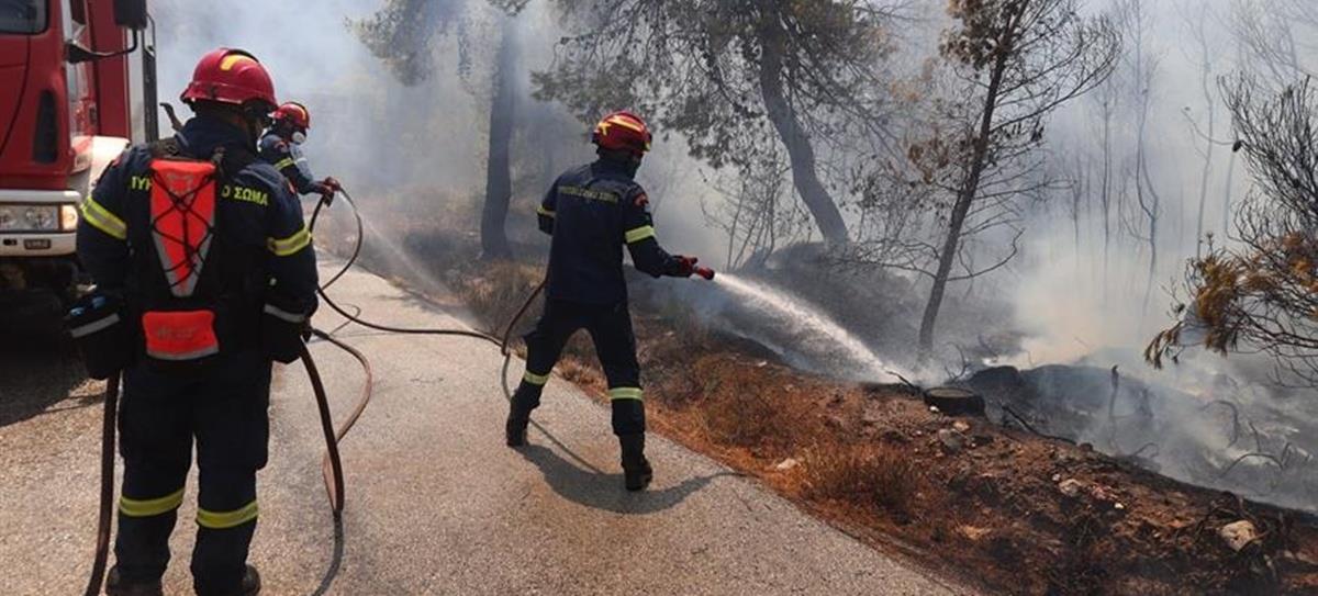 5240547736021237 cats