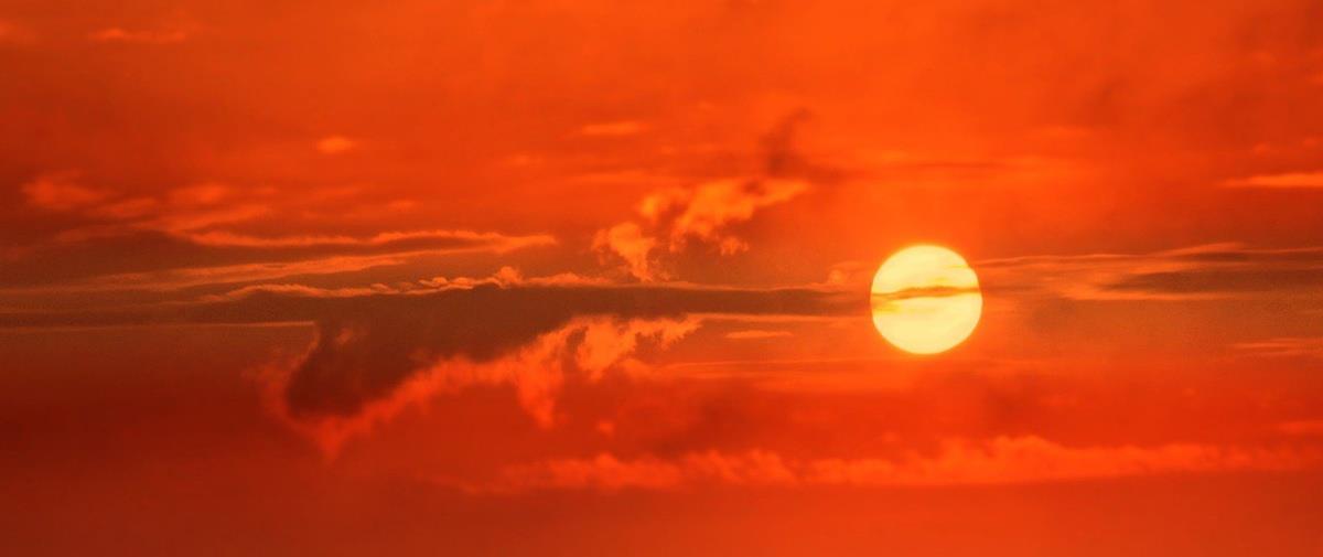 5240568444254516 cats