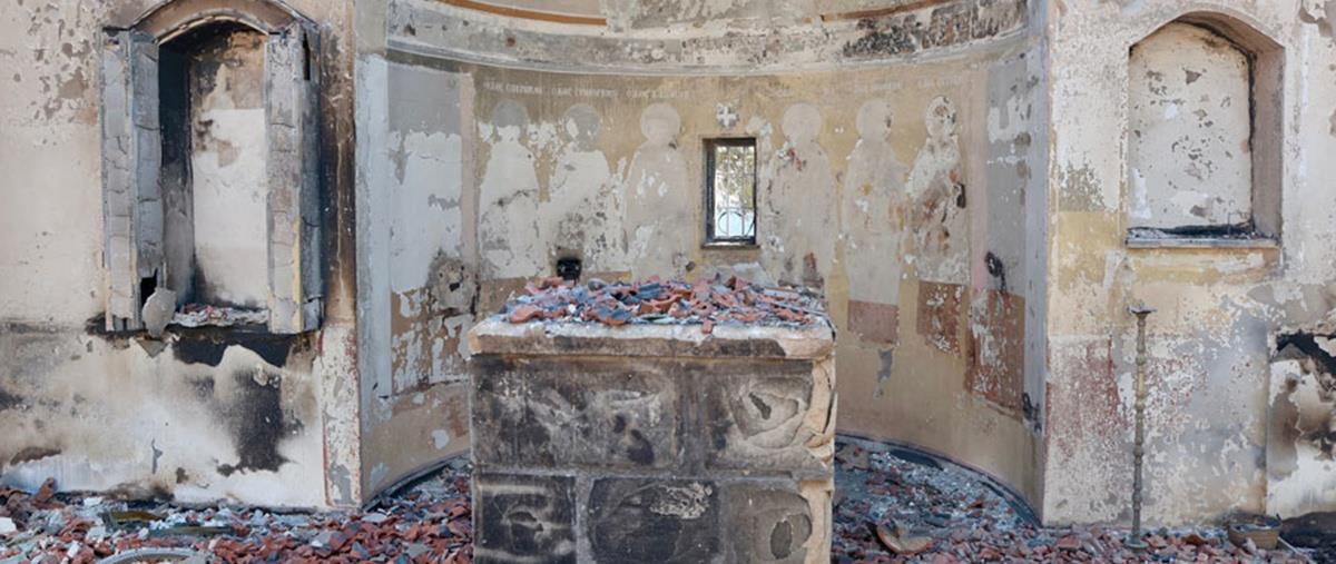 5240691872294580 cats