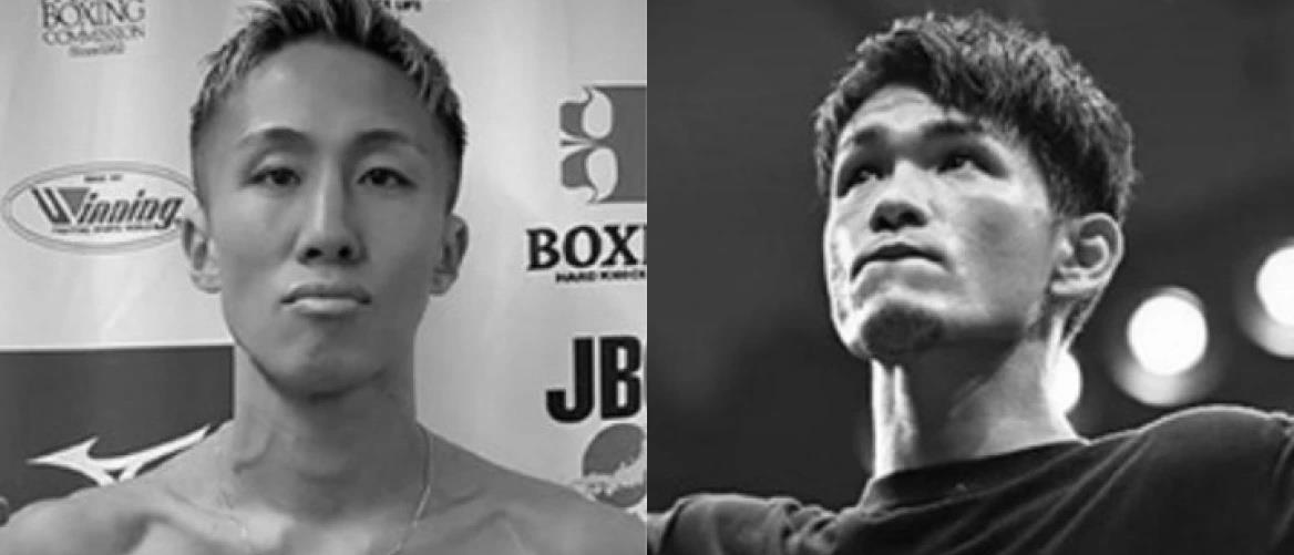 5240719060185979 cats