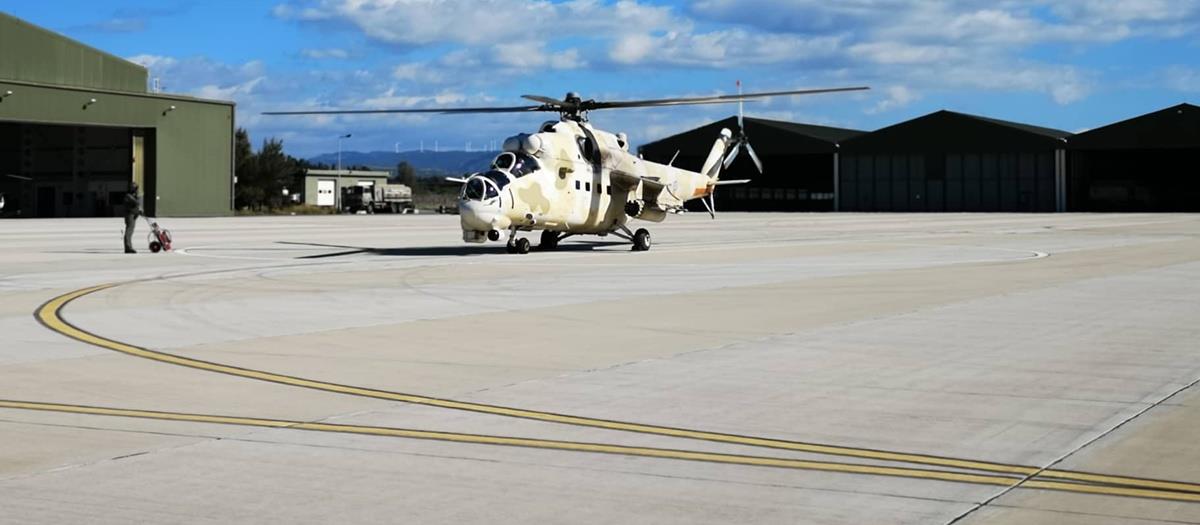 5240724757788279 cats