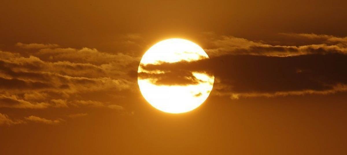 5240823507612359 cats