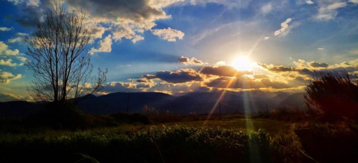 5241306402170538 cats