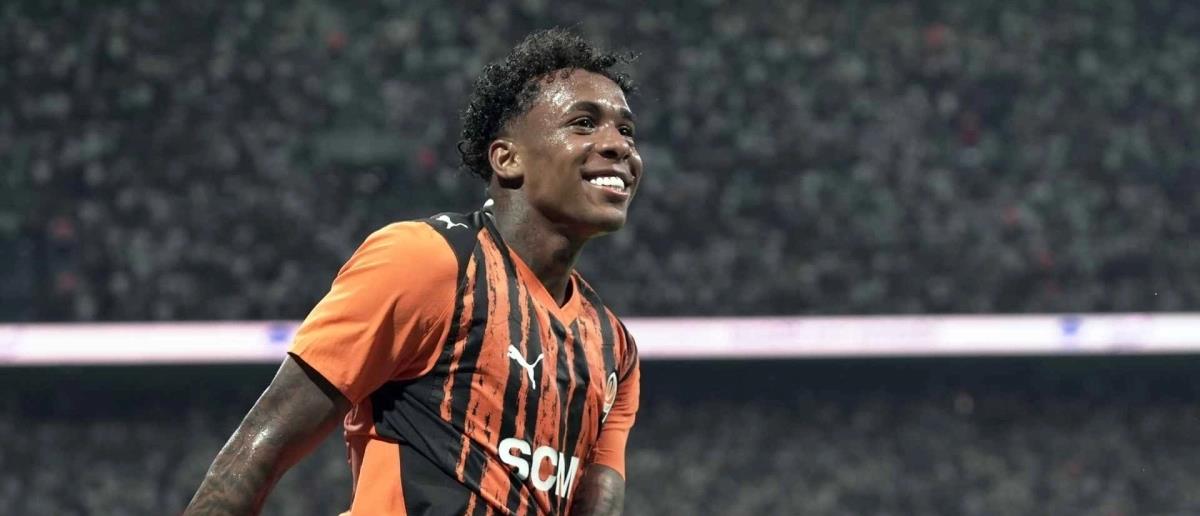 5241423850923734 cats