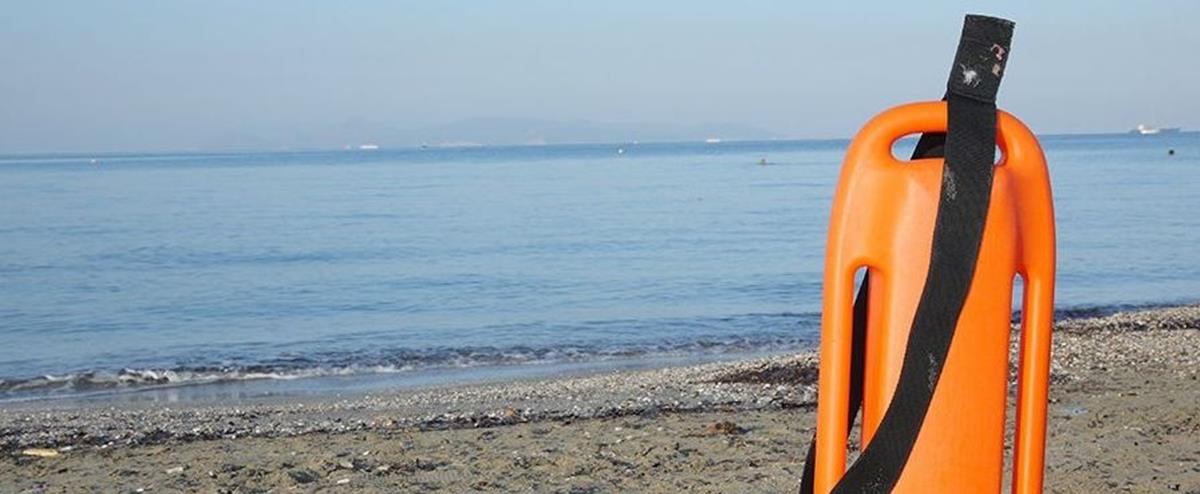 5241437922373366 cats