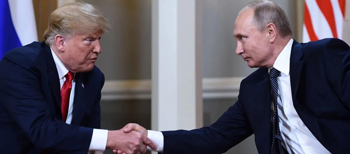 5241505230325808 cats