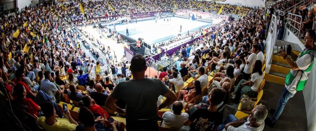 5241529941472953 cats