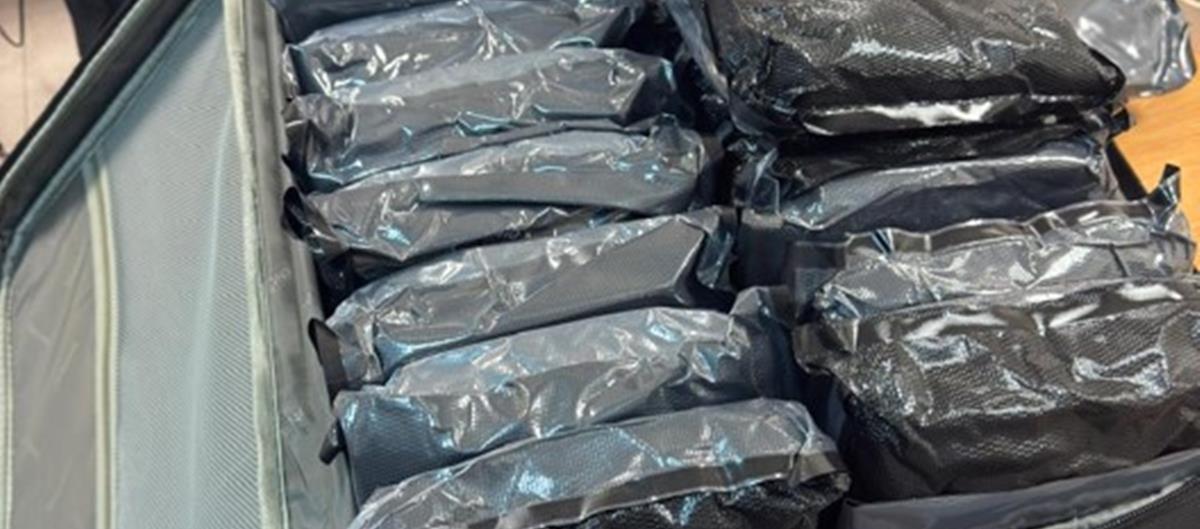 5241542645796880 CANNABIS 1