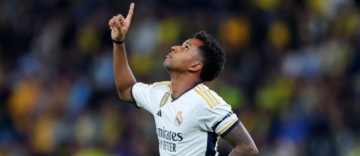 5242178619879514 cats