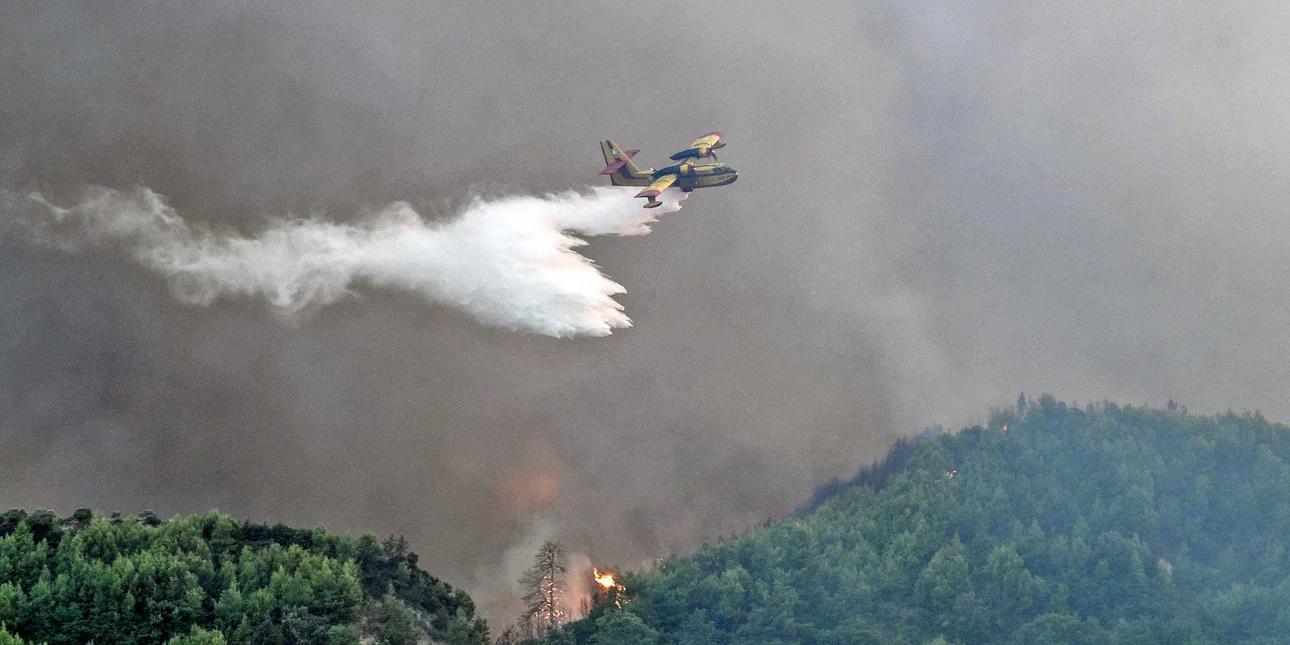 5242207466094153 image