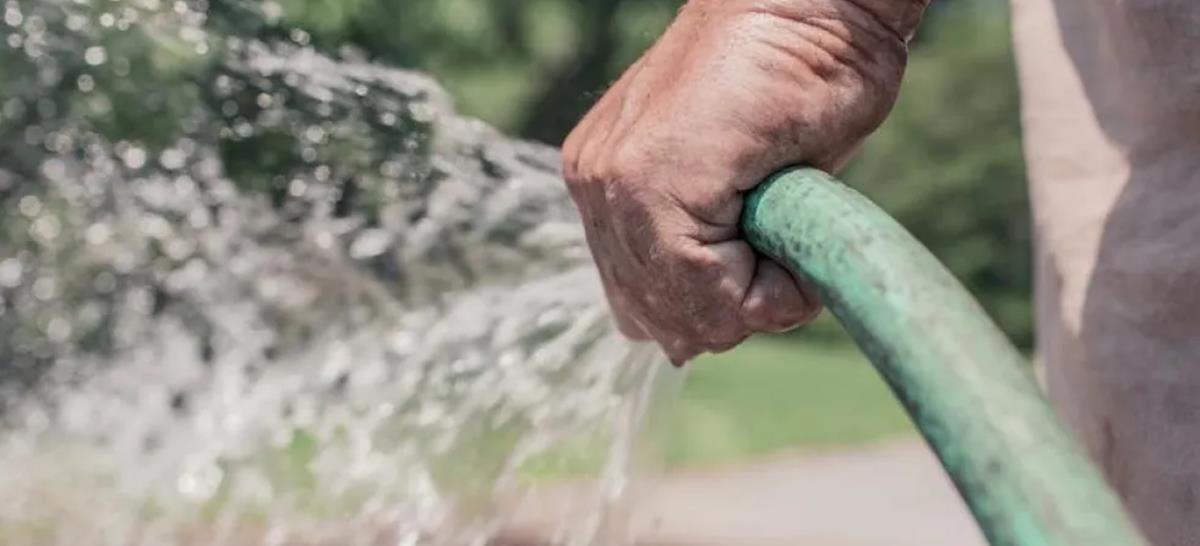 5242249390410833 cats