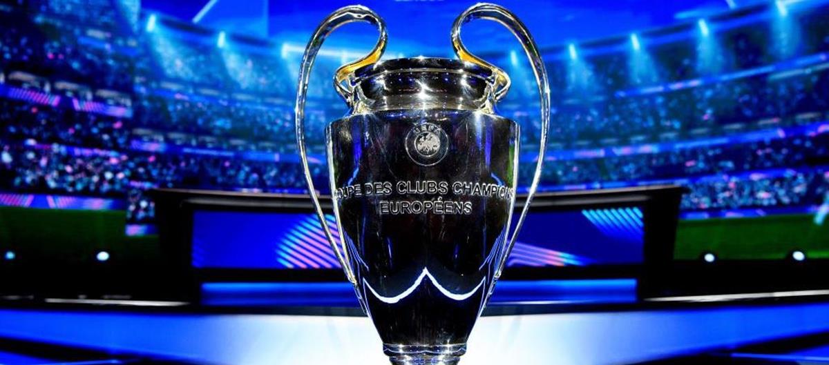 5243067772384727 cats