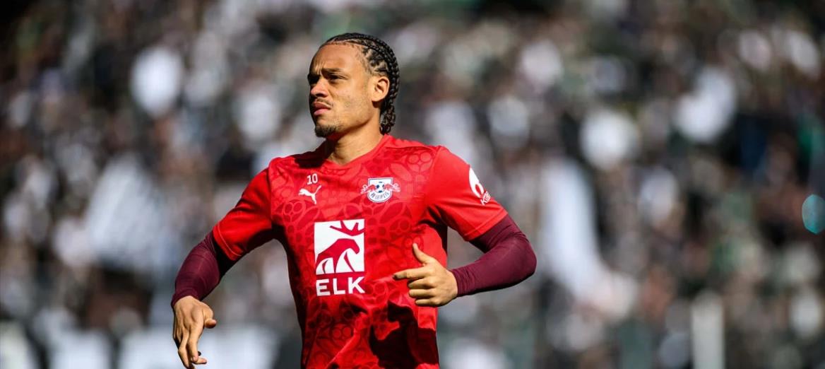 5243263582888600 cats