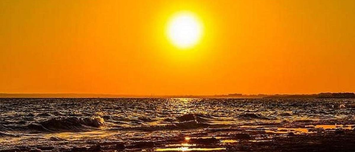 5244745473007437 cats