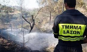 5249340401689802 images