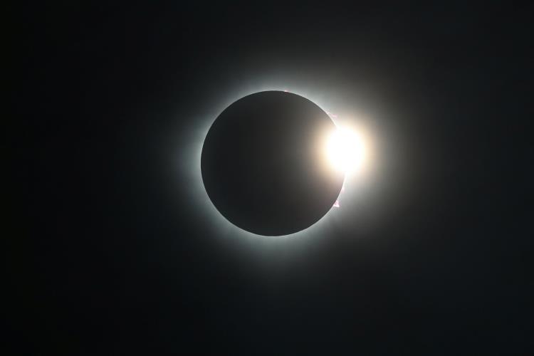 5253737330322239 image
