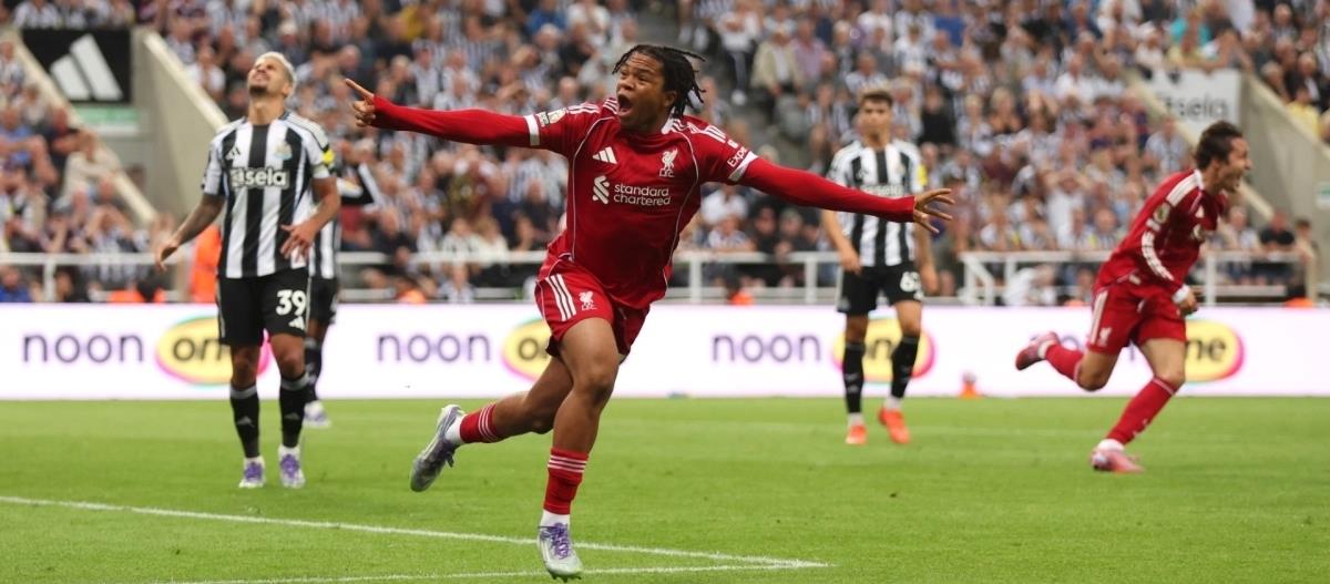 5254281805095374 cats