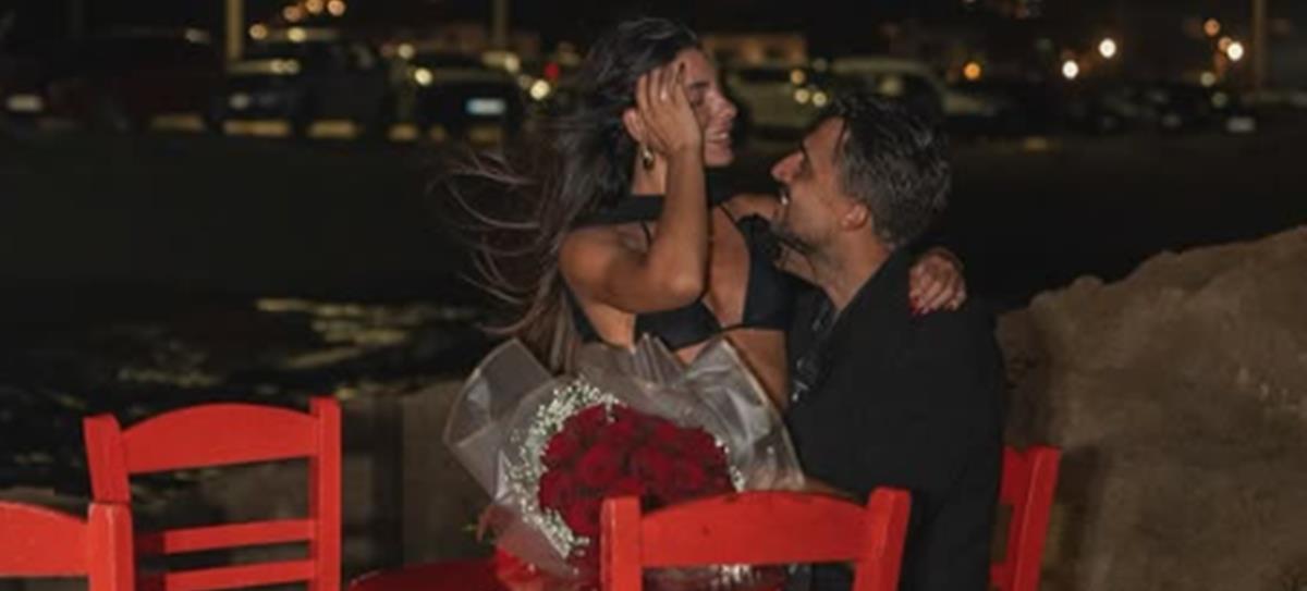 5255243354485282 cats