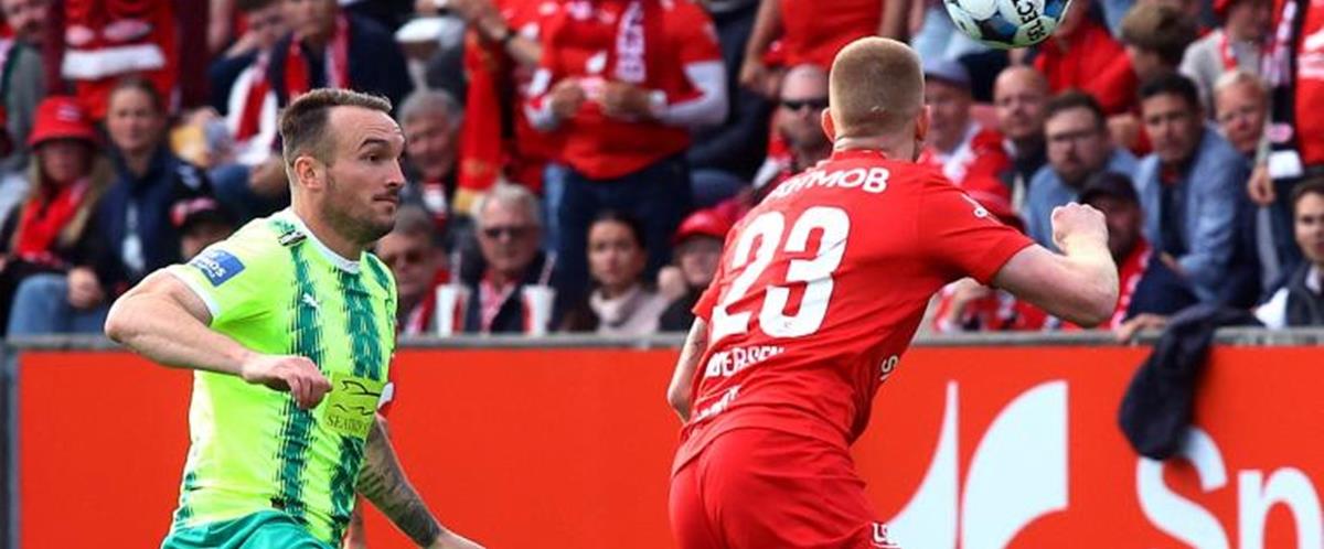 5255308041355991 cats