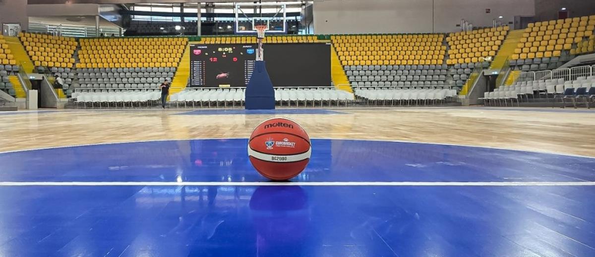 5256182655834347 cats