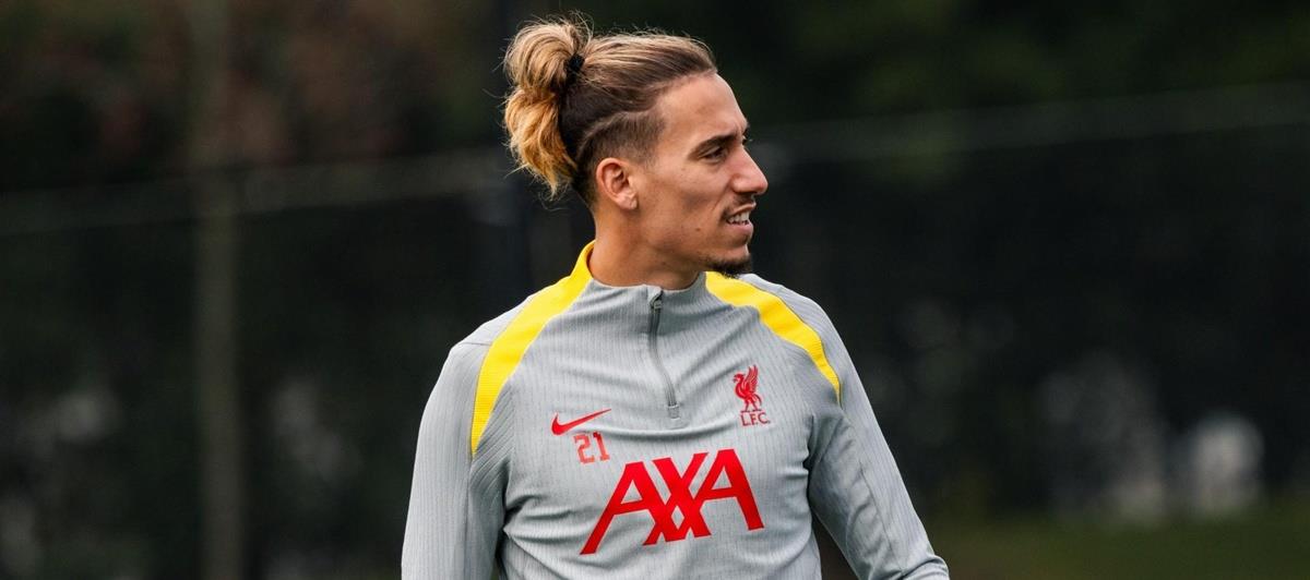 5257178237282811 cats