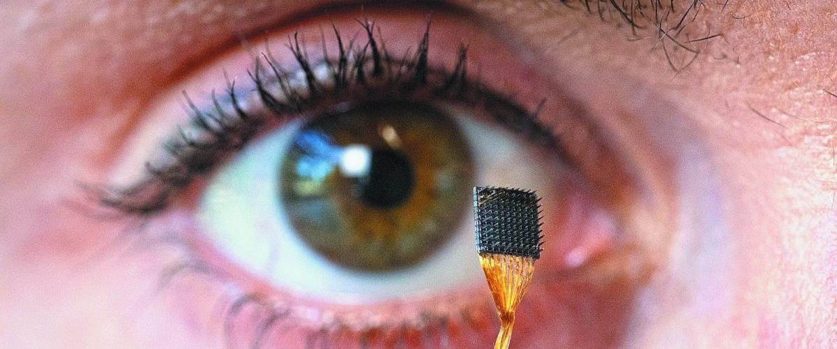 5257291761902647 20250814 Brain Computer Interface JG 03-1200x800