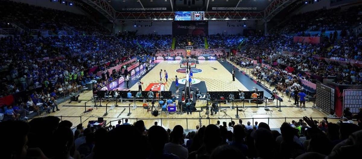 5257797778769004 cats