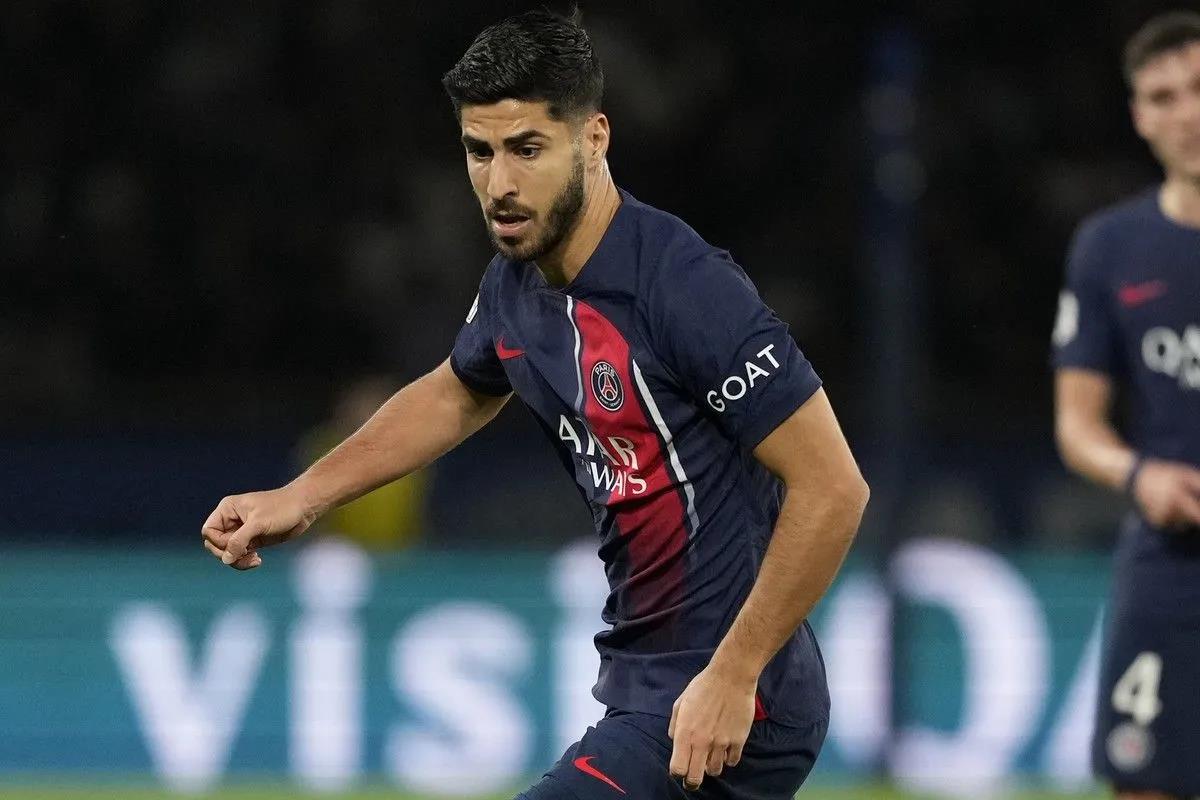 5259700968588254 image