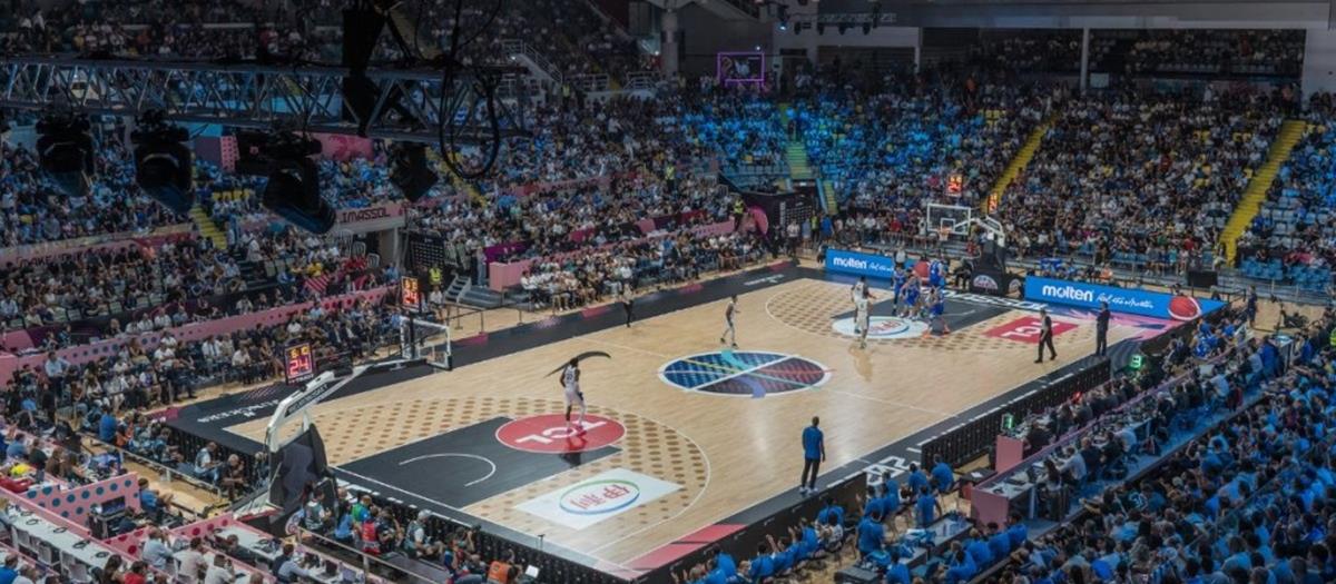 5262104947455131 cats