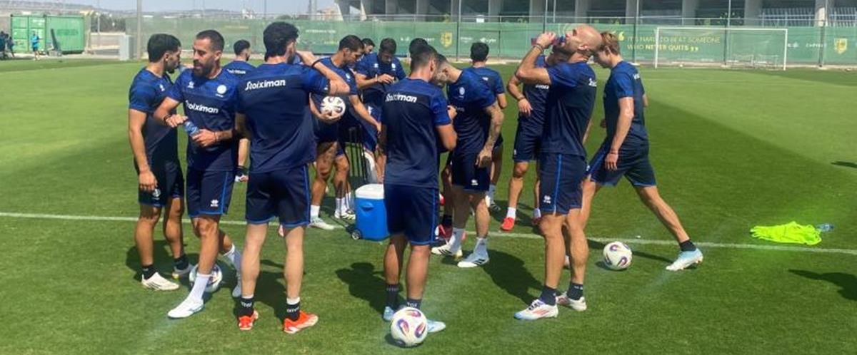 5262255589382148 cats