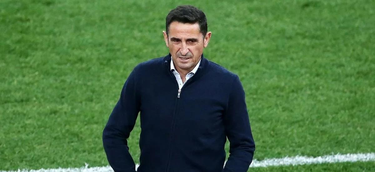 5263115288057557 cats